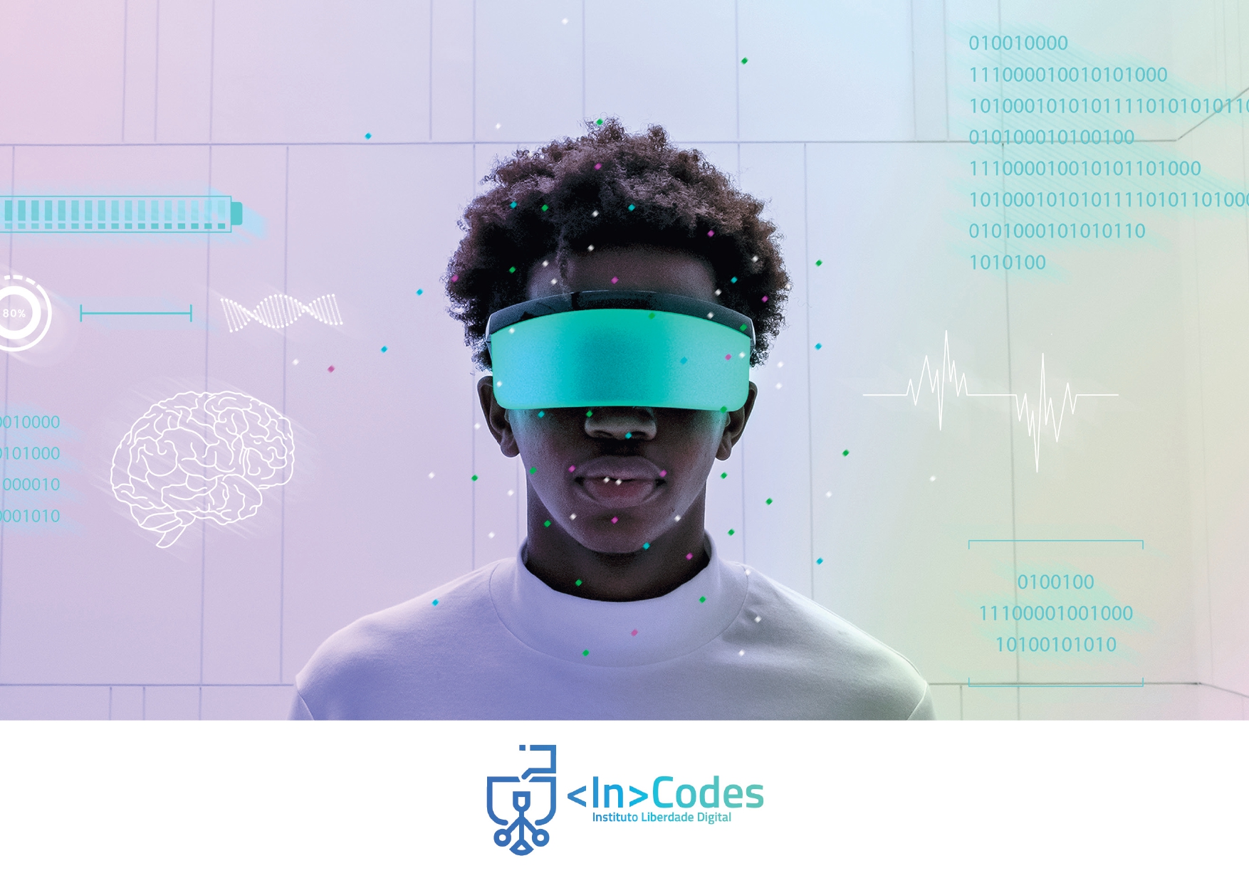 InCodes: Resumo Executivo do ciclo de Desinformação